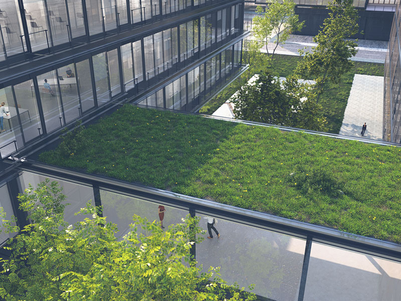 A green space in an apartment block