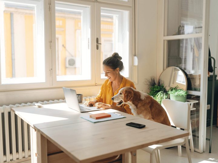 Here’s our rulebook for renting with pets