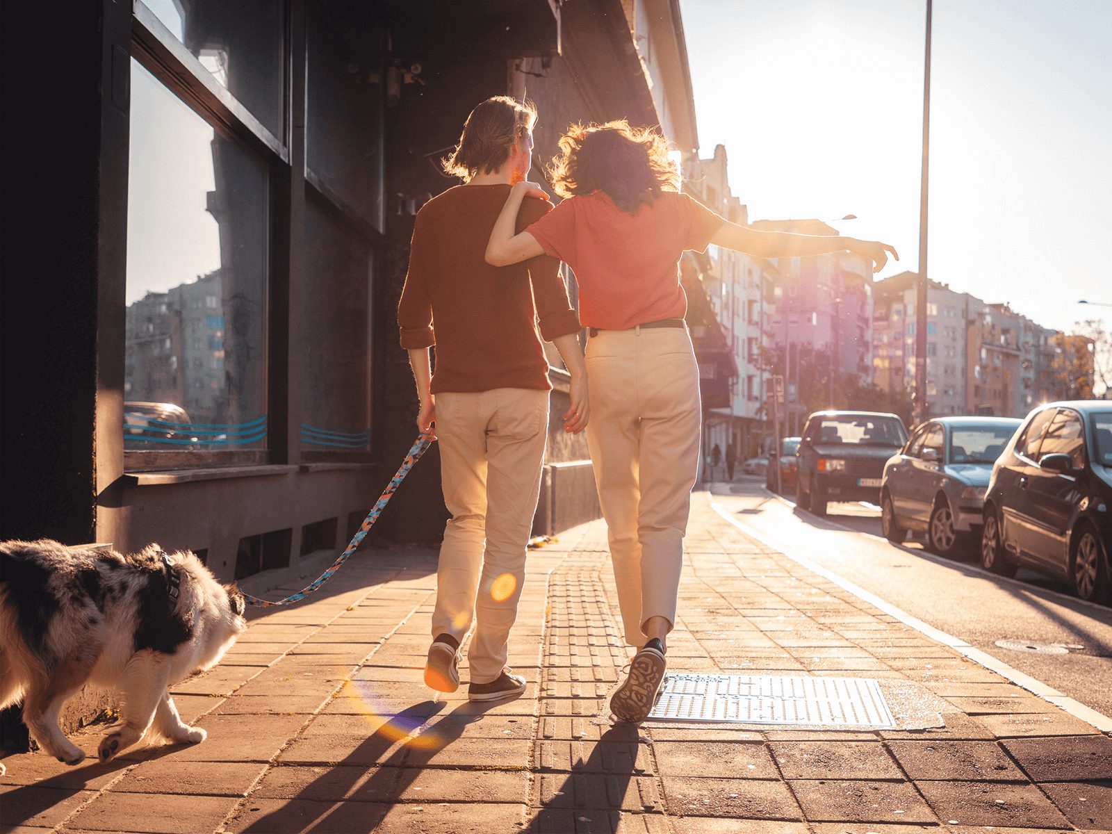 two people walking dog down sunny street