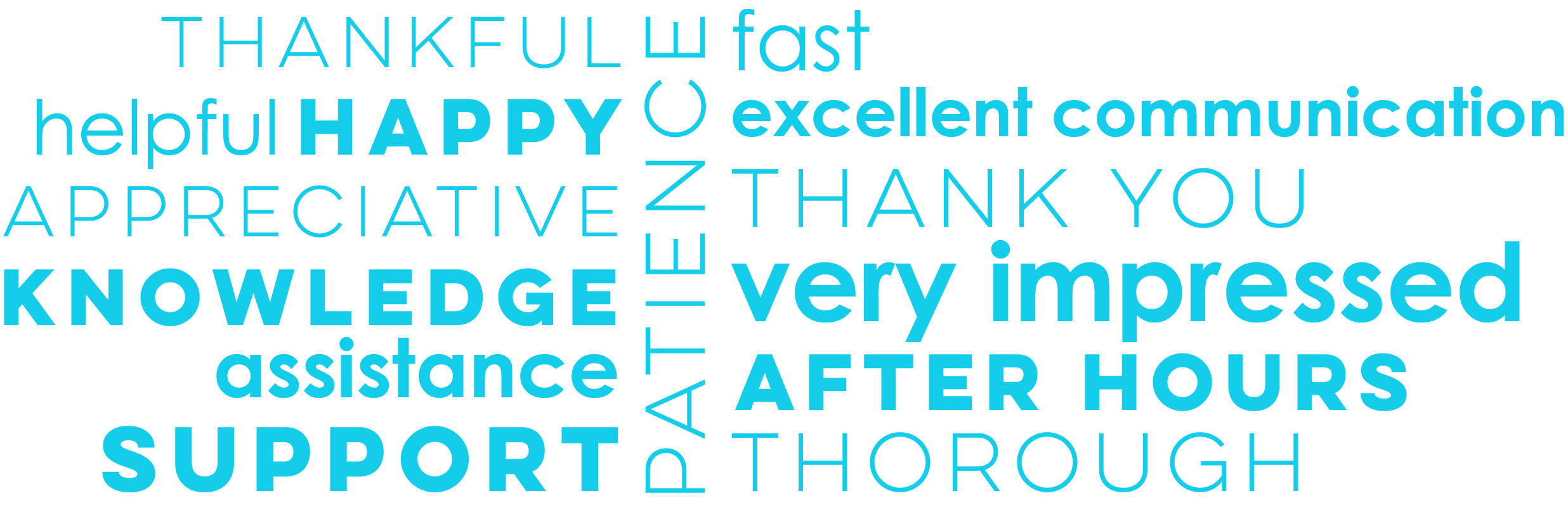 Support Spotlight Word Cloud