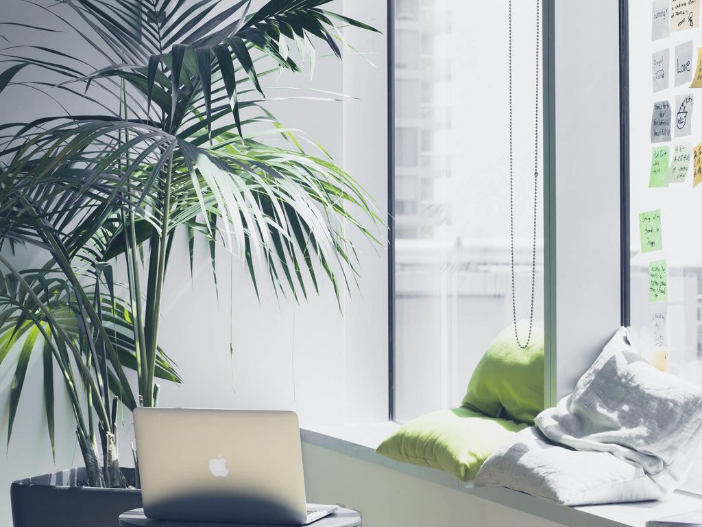 Plants in an office