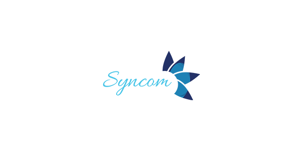 Syncom Auditing