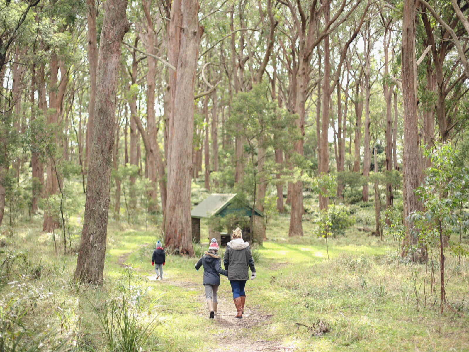 Bushwalking in Australia in winter