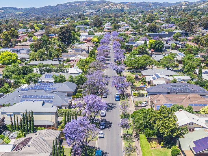 July property market update (2025)