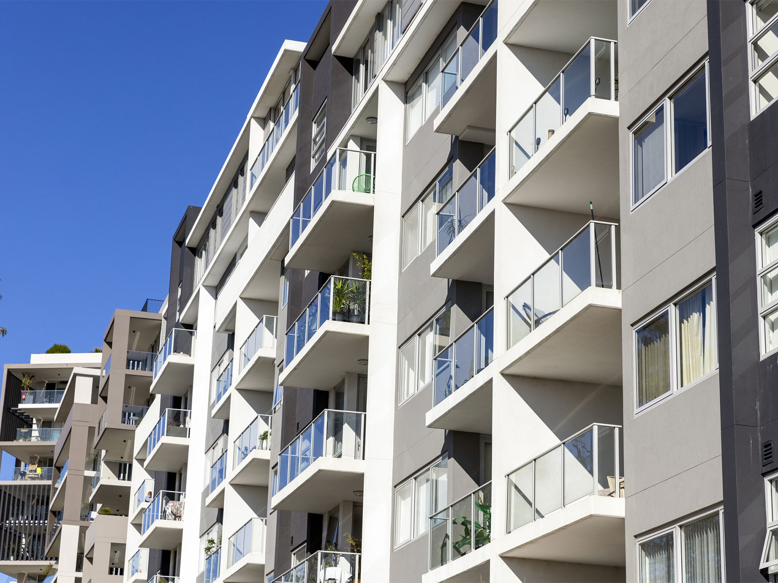 August 2026 rental snapshot: Sydney and Canberra begin to loosen
